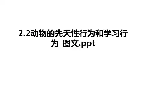 最新2.2动物的先天性行为和学习行为_图文.ppt