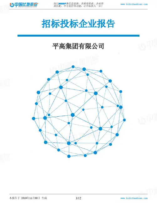 平高集团有限公司-招投标数据分析报告