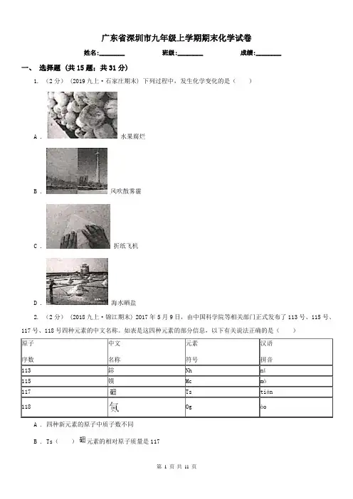 广东省深圳市九年级上学期期末化学试卷