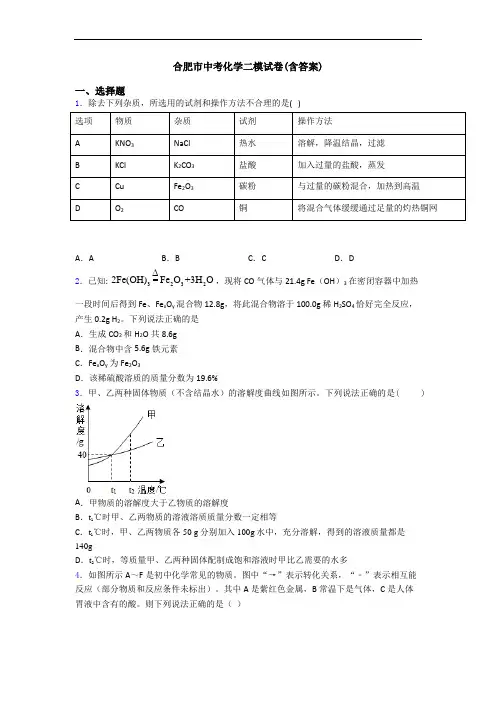 合肥市中考化学二模试卷(含答案)