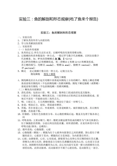鱼的解剖和形态观察