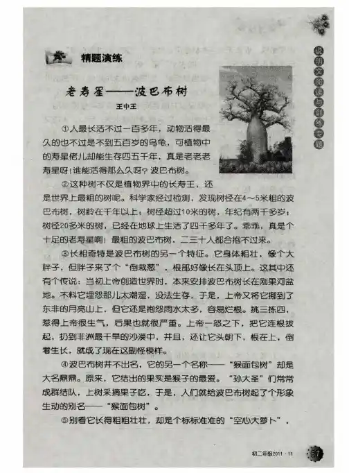 老寿星——波巴布树