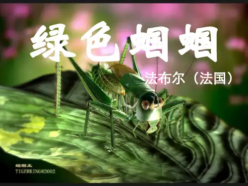 人教版语文七年级上册课件：绿色蝈蝈 (共16张PPT)