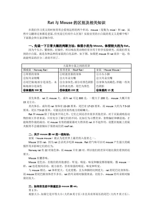 rat和mouse的区别及相关知识