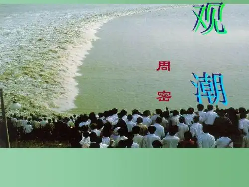 八年级语文上册 第28课《观潮》课件(1) 新人教版