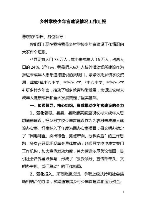 乡村学校少年宫建设情况汇报