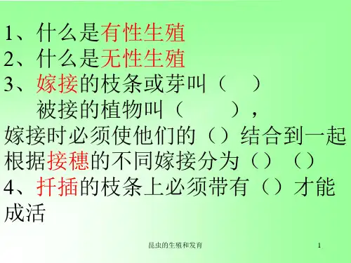 昆虫的生殖和发育课件