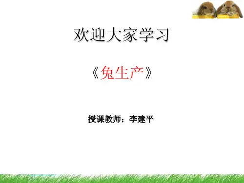 第六章  兔病的预防
