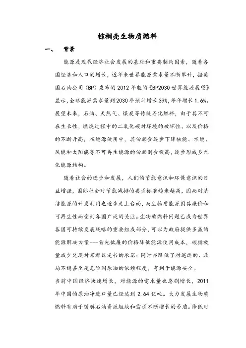 棕榈壳生物质燃料分析