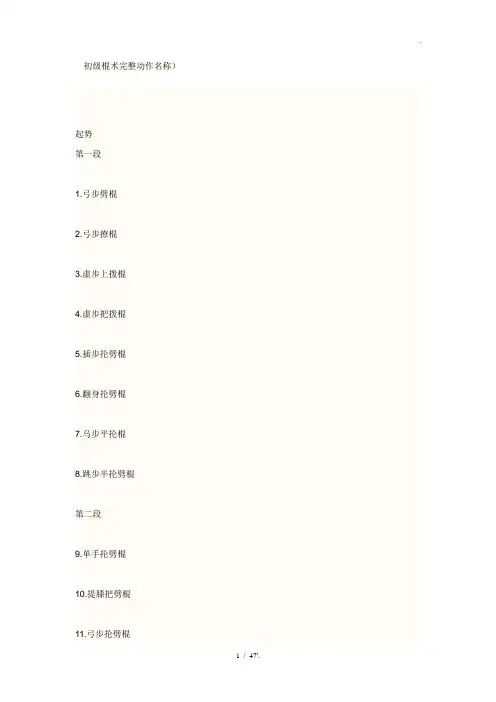 初级棍术完整动作名称)