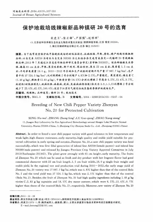保护地栽培线辣椒新品种镇研20号的选育