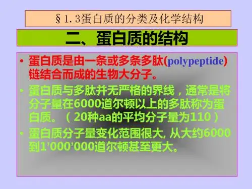 蛋白质的结构