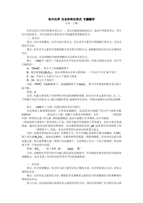 初中化学 化合价和化学式 专题辅导