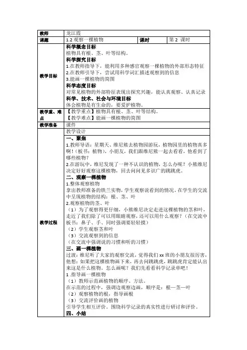 教科版一年级科学上册 1.2观察一棵植物教案设计