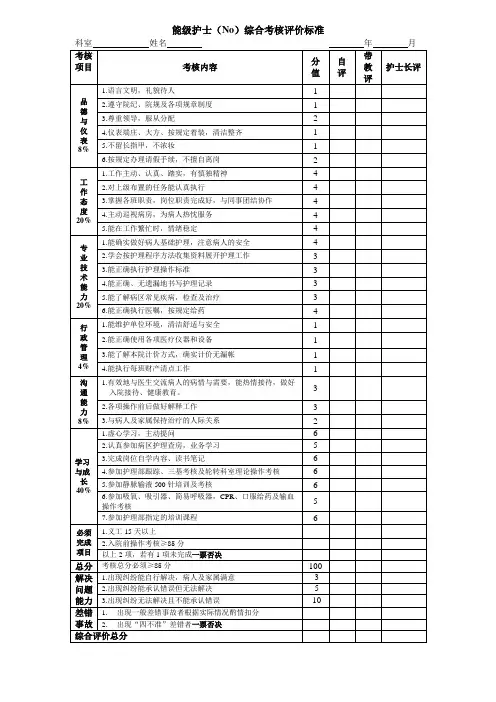 能级护士标准