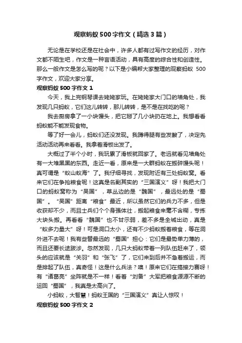观察蚂蚁500字作文（精选3篇）