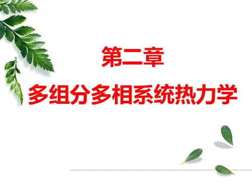 第2章多组分多相系统热力学