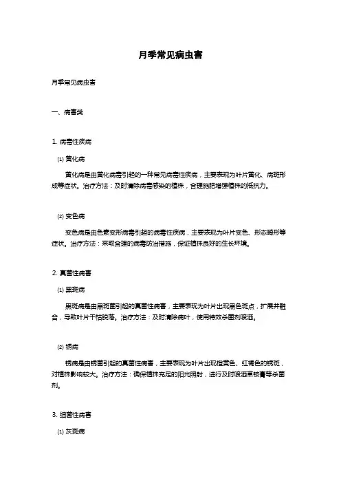 月季常见病虫害