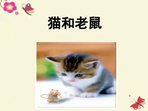 语文S版一年级语文下册识字6《猫和老鼠》ppt教学课件