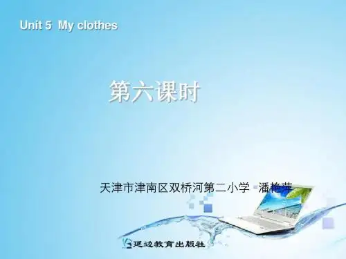 Unit5 My clothes第六课时