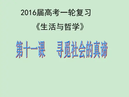 寻觅社会的真谛 ppt课件