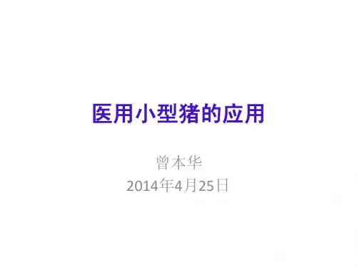 选修课总结