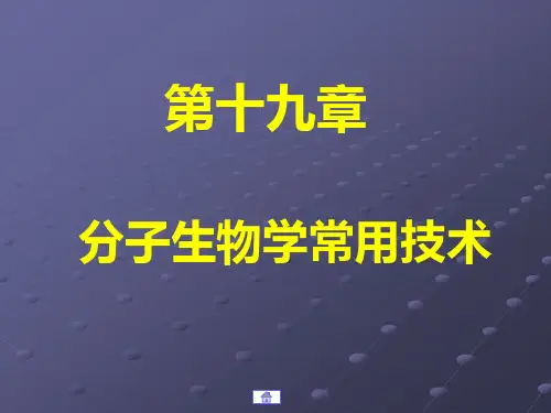 19章分子生物学常用技术