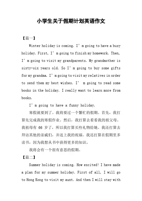 小学生关于假期计划英语作文