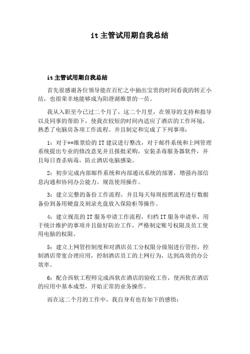it主管试用期自我总结