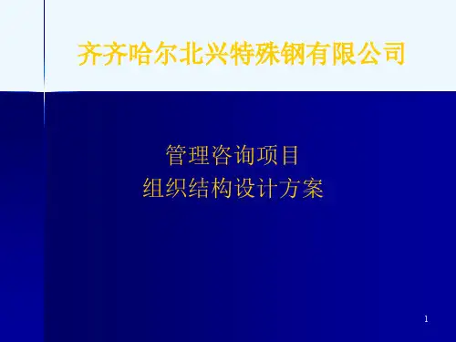 管理咨询项目组织结构设计方案