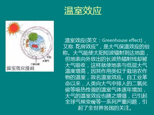 温室效应影响及危害