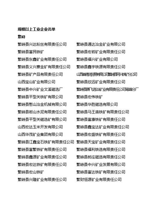 忻州市规模以上工业企业名单