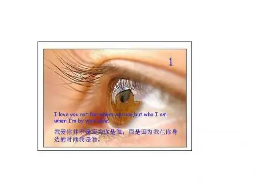 为人处事班会《分享十三种人生感悟》PPT课件