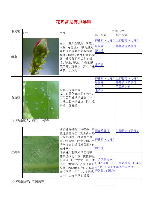 花卉常见害虫及使用杀虫剂(图片)