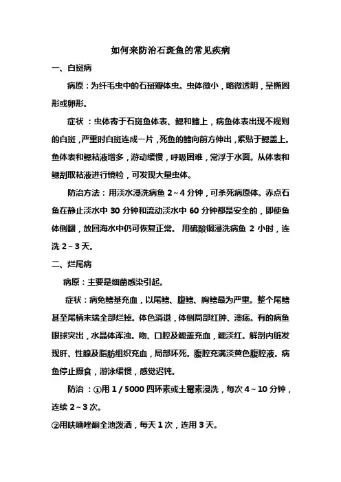 如何来防治石斑鱼的常见病