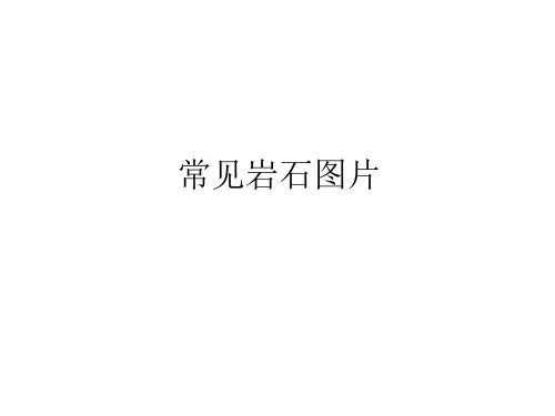 常见岩石图片