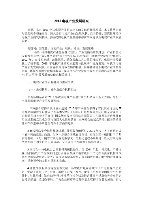 2013电视产业发展研究