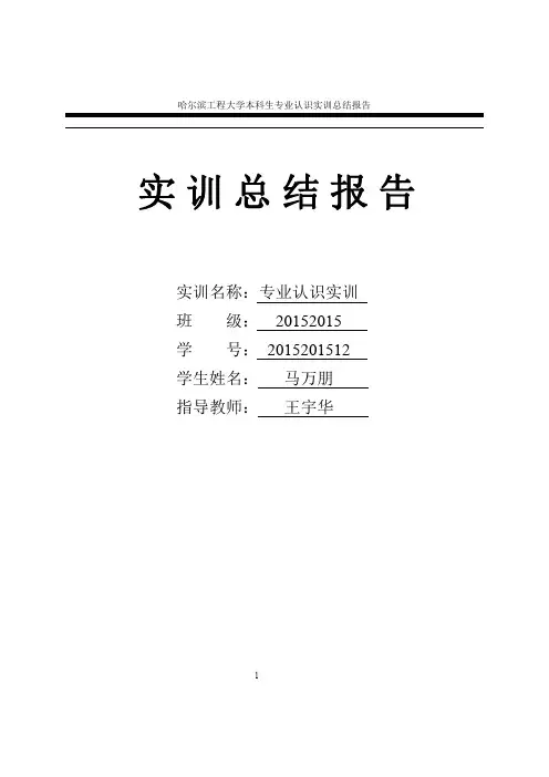 实训总结报告