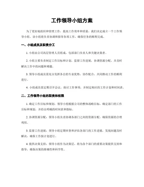 工作领导小组方案