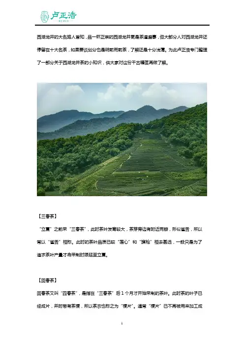 对西湖龙井再做了解,揭秘其工艺制作