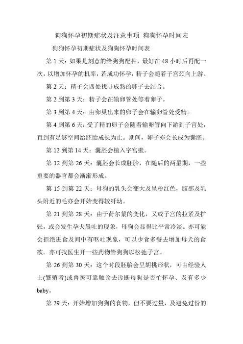 狗狗怀孕初期症状及注意事项 狗狗怀孕时间表