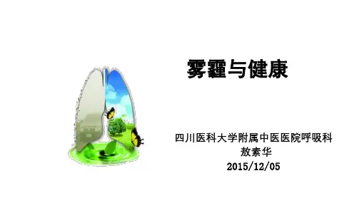 雾霾与健康