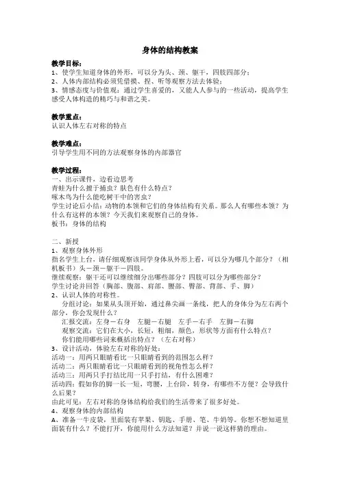 身体的结构-教案
