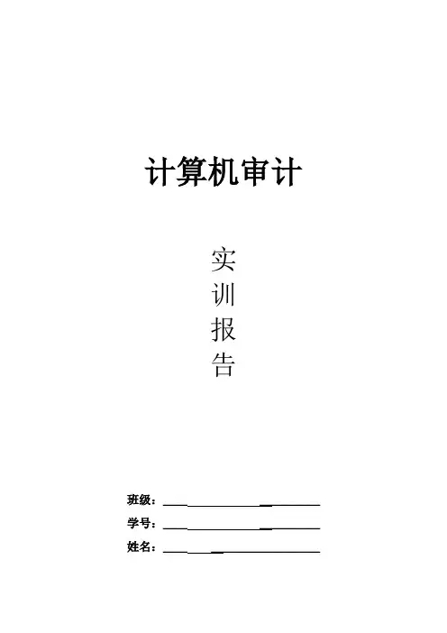 计算机审计实训报告