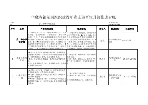 基层组织建设年党支部晋位升级推进台账