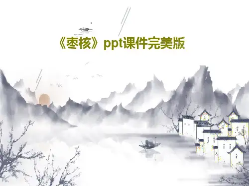 《枣核》ppt课件完美版31页PPT