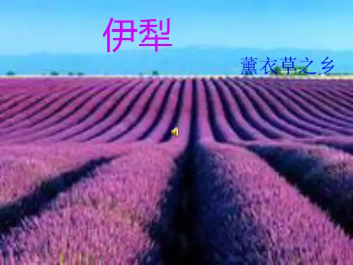 伊犁 简介.ppt