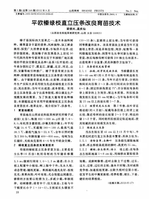 平欧榛绿枝直立压条改良育苗技术