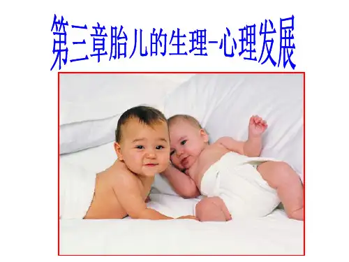 胎儿生理