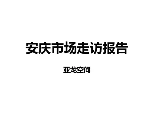 安庆走访报告